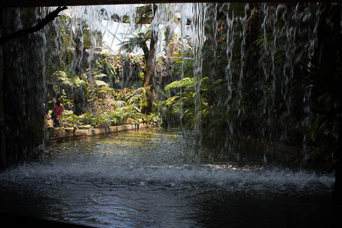 Under the Waterfall