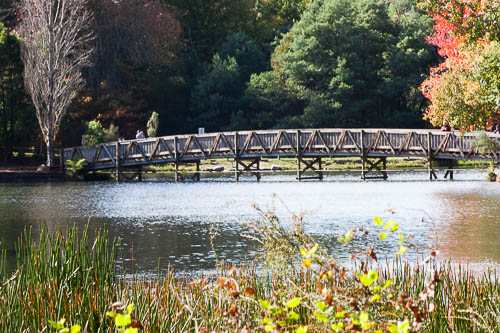 Bridge