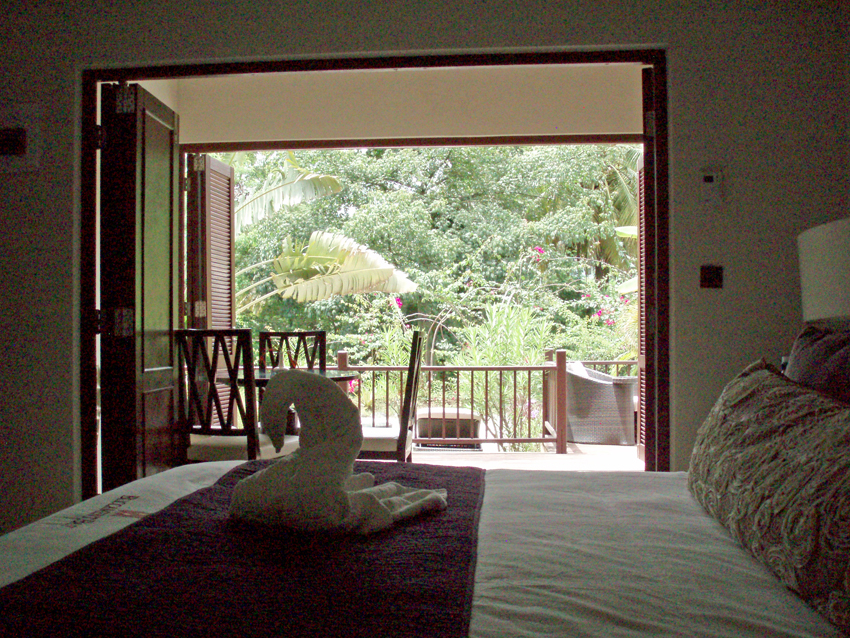 View from Inside a Garden Villa