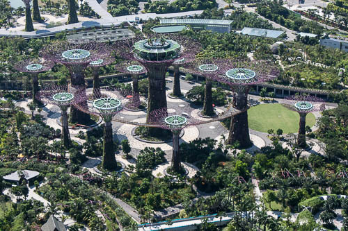 Super Trees
