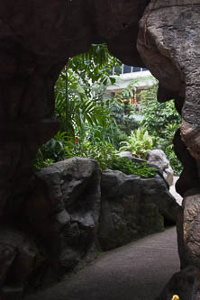 Arch