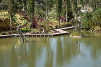 Dragonfly Sculptures